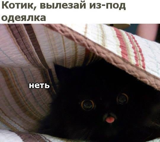 Сам иди на свою работу, а мне и тут хорошо