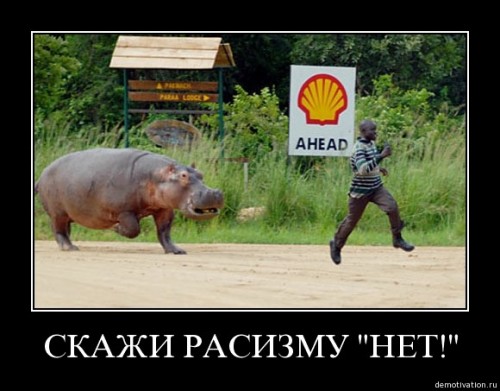 Ты кого толстожопым назвал, скотина?!!!