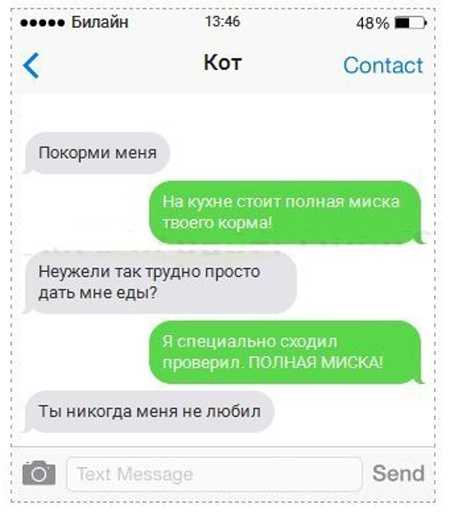 Если бы коты писали смс