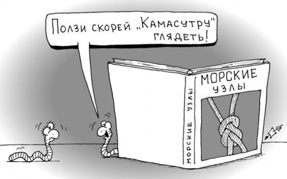 Приколы про камасутру