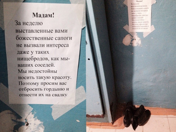 Перлы от соседей