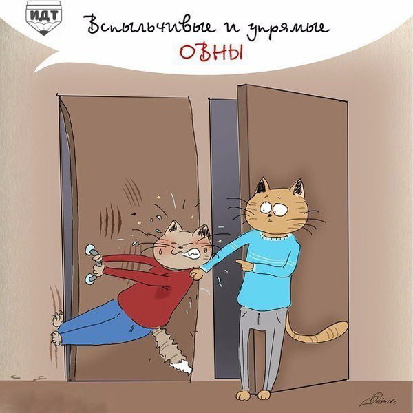 В двух словах