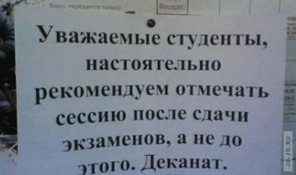 Маразмы месяца