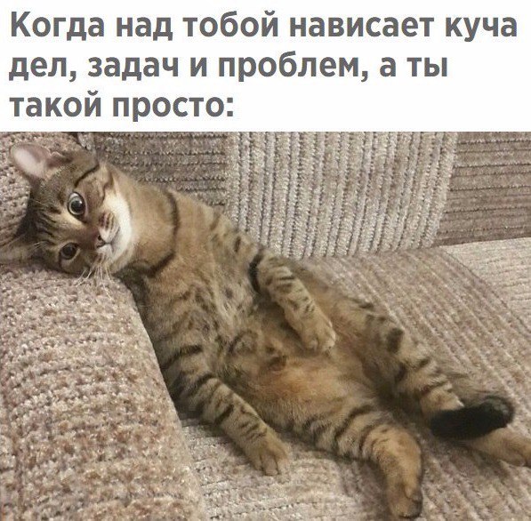 Когда ты полон сил и энергии