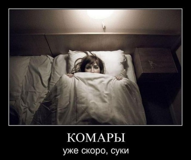 Демотиваторы про лето