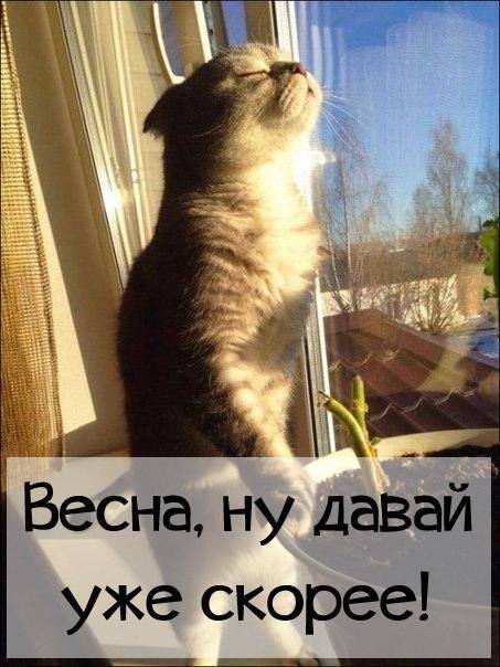 Весна. Дождались 