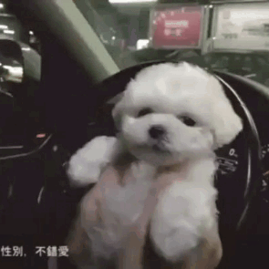 Маленькое чудо