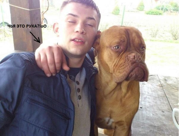 Смешной прикол про собаку