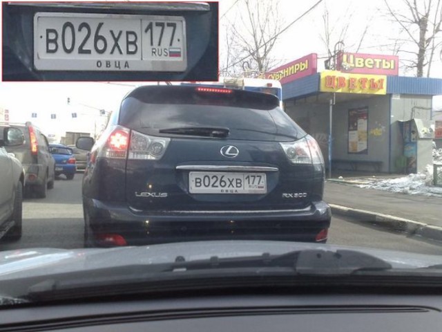 Номера для блондинки