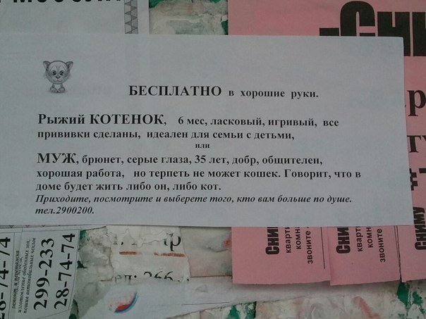 Отдам мужа в хорошие руки. Прикольное объявление