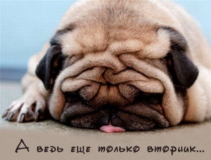 Картинка на вторник