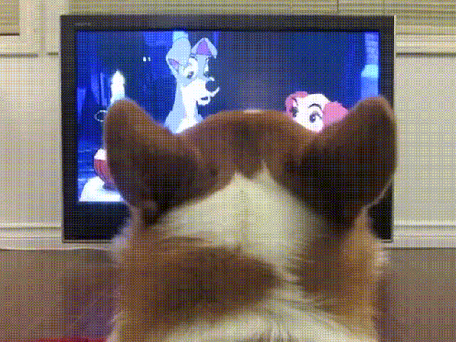 Романтика и вкусняшки