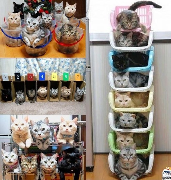 Архиватор для котэ