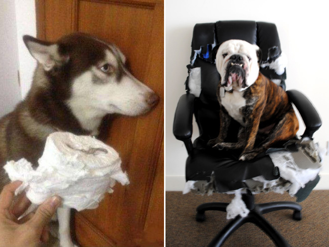 Кто это сделал?