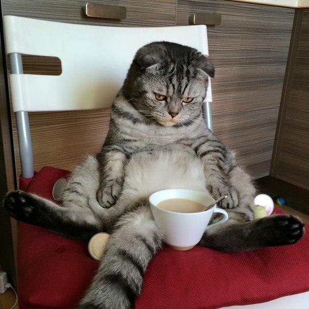 Шел 9 день Нового года..