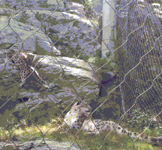 Когда забыл, что у тебя есть дети