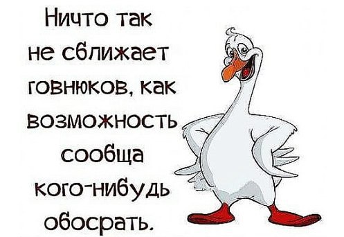 Родственные души