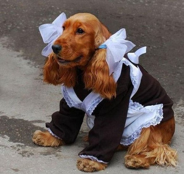 Прикольная подборка няшечек