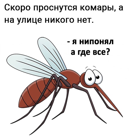 Коронавирус и комары