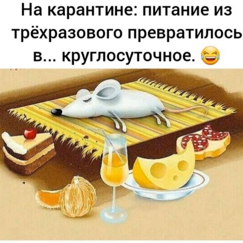 Карантин и питание