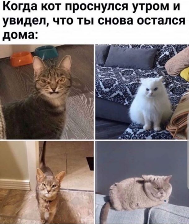 Опять ты дома?!