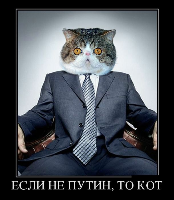 Демотиваторы про Путина