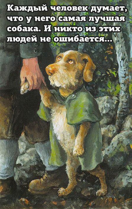 Собака - друг человека