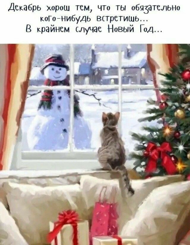 Встреча в декабре