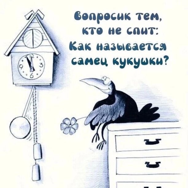 Самец кукушки