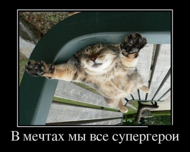 Демотиватор про мечты