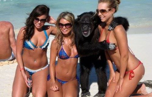 Приколы про девушек и животных