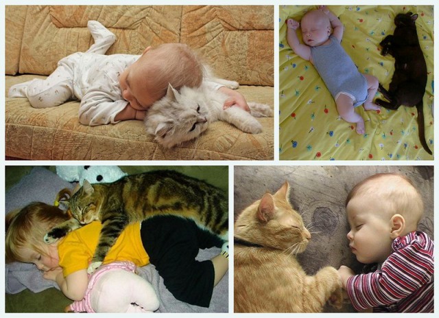 В постели с киской