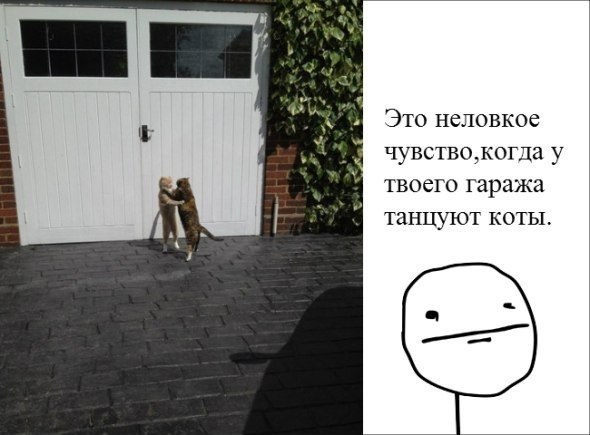 Этот неловкий момент