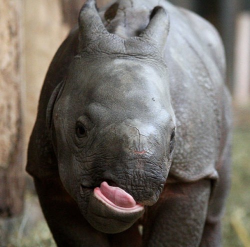 don't you wish your girl was hot like me??