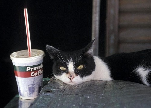 Пойми меняу