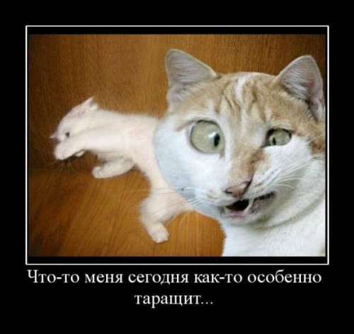 Абсцент хорошо пошел