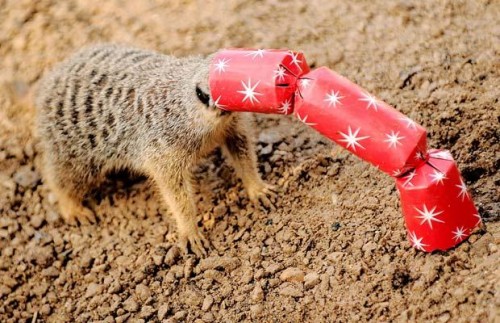 темно!! а подарок де?