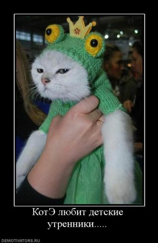 котЭ любит быть оригинальной во всем=)