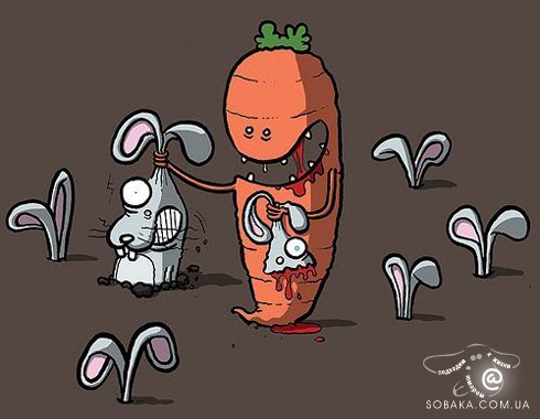 Самоее лутшее из интернета