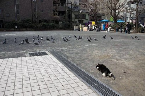 Сезон охоты открыт