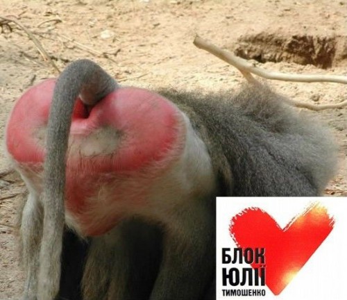 мы с тобой! душой и телом