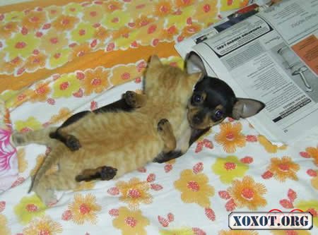 Застукали:)))