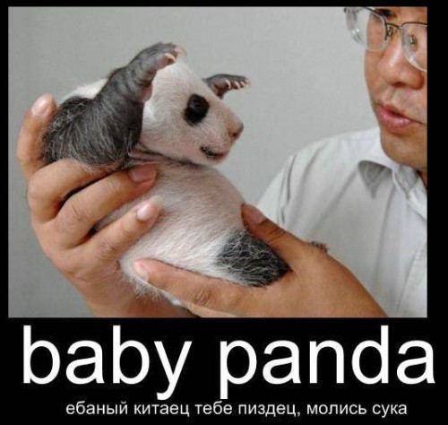 Молись, с..!!