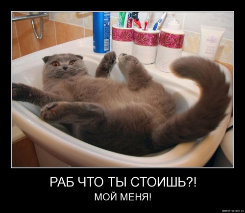 че втычишь?? а?