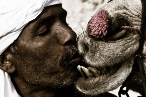 Без преград