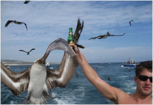 Дай, пива! Не жлобись!