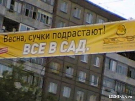 ...все в сад!!!