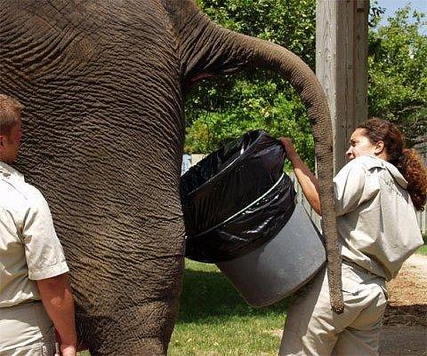 Незавидная работа