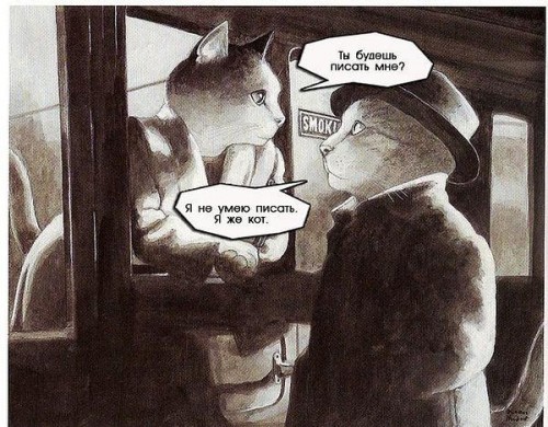 Влюбленные коты