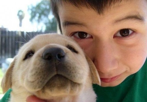 Дети и животные